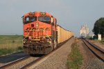 BNSF C Train 6786 East